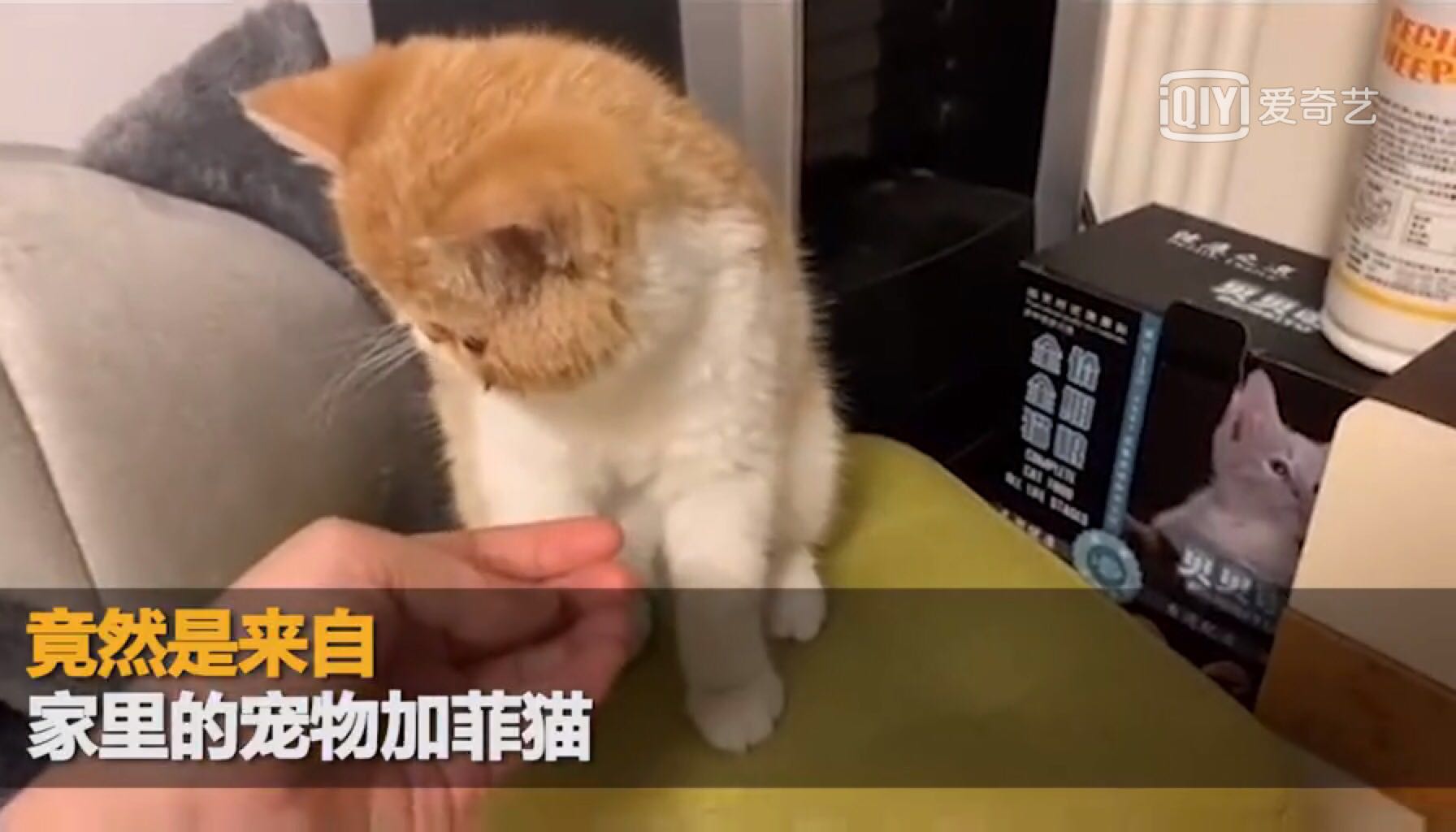 厦门小姐姐满脸红痘，竟是脚气上脸！到底发生了什么？