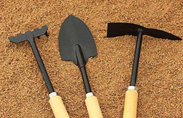 种植盆栽怎么学技术,最新种子种植攻略