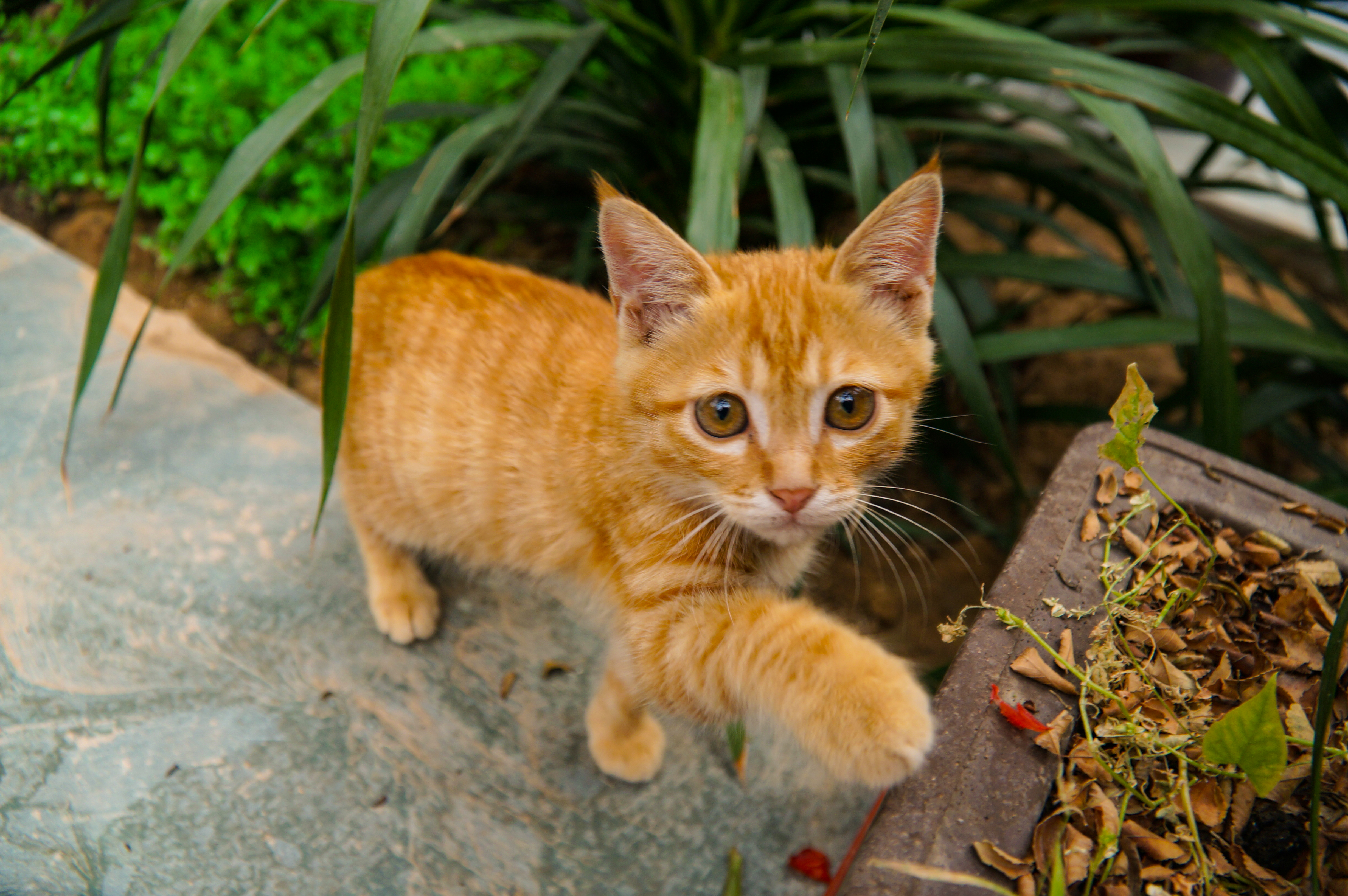 兰州西固环盛生态园,西固环盛生态园