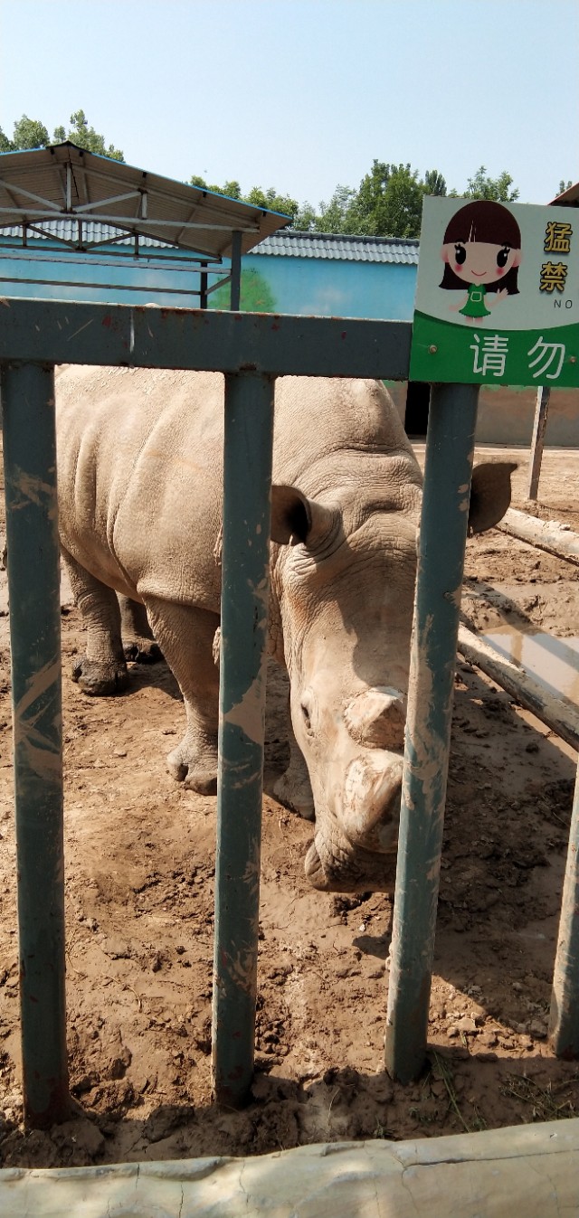 德州动植物园位置,德州动植物园免费吗