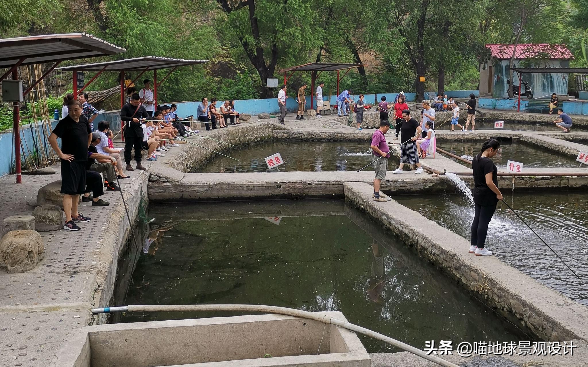 美丽乡村的盈利项目,美丽乡村项目的成功案例