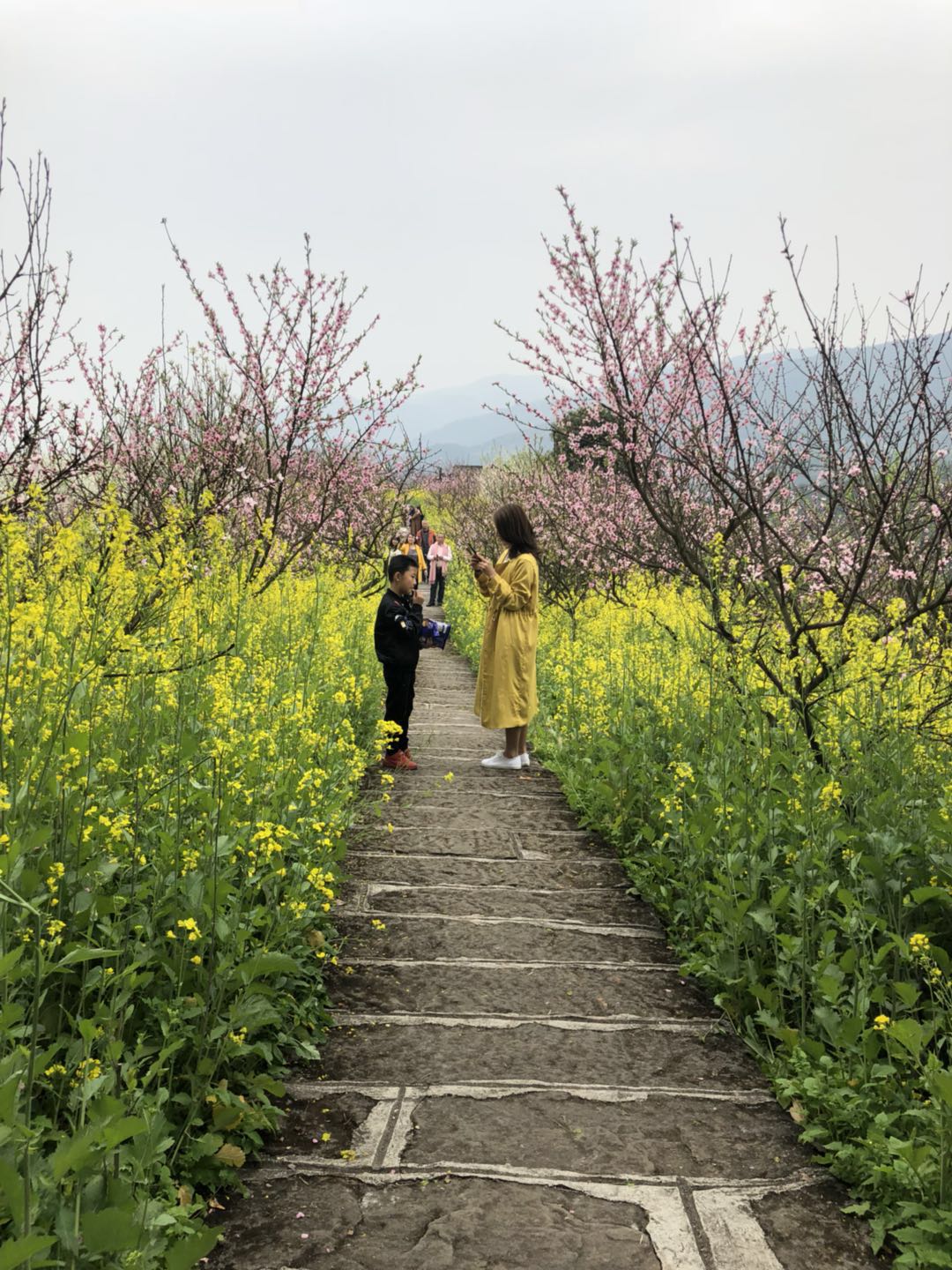 重庆一日度假民宿,重庆仙女湖民宿推荐