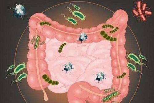 十男九痔的痔疮与肛裂有哪些区别?专家建议用这些方法改善最好