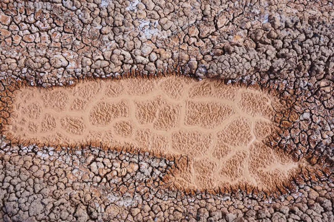 炸裂！全球唯一合法资质进入羌塘，一起去实现人生终极越野梦