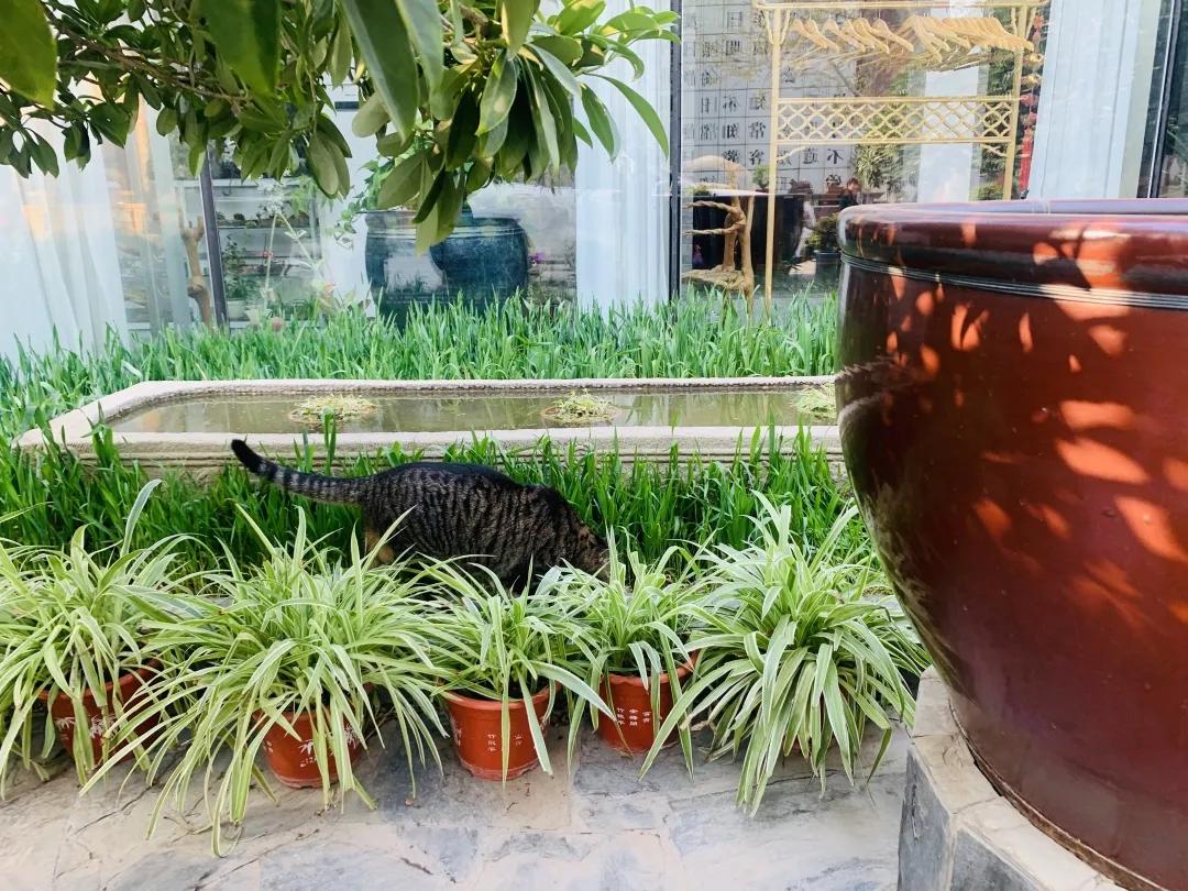 大家期盼的真实事件,掉缸事件怎么处理