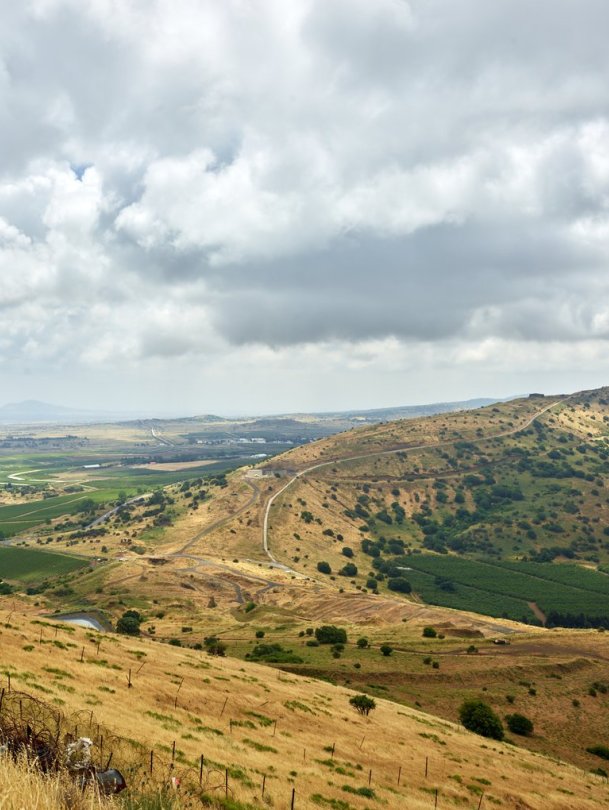 在百年党史中砥砺前行,世界五大葡萄酒产区