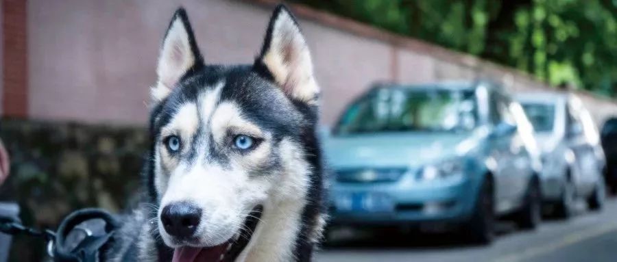 盘它抖音版,盘它抖音完整版