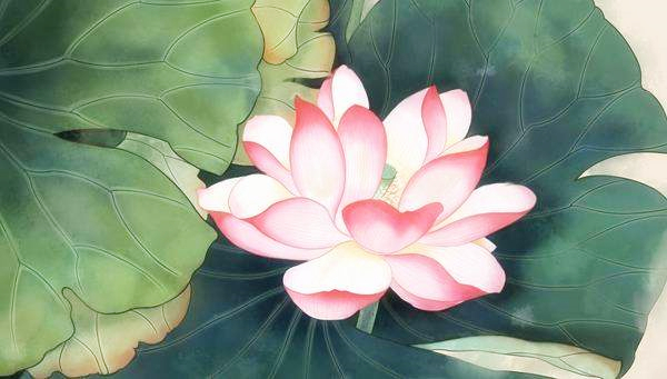 占卜算卦一般要算几卦,占卜中的读象和断卦的区别