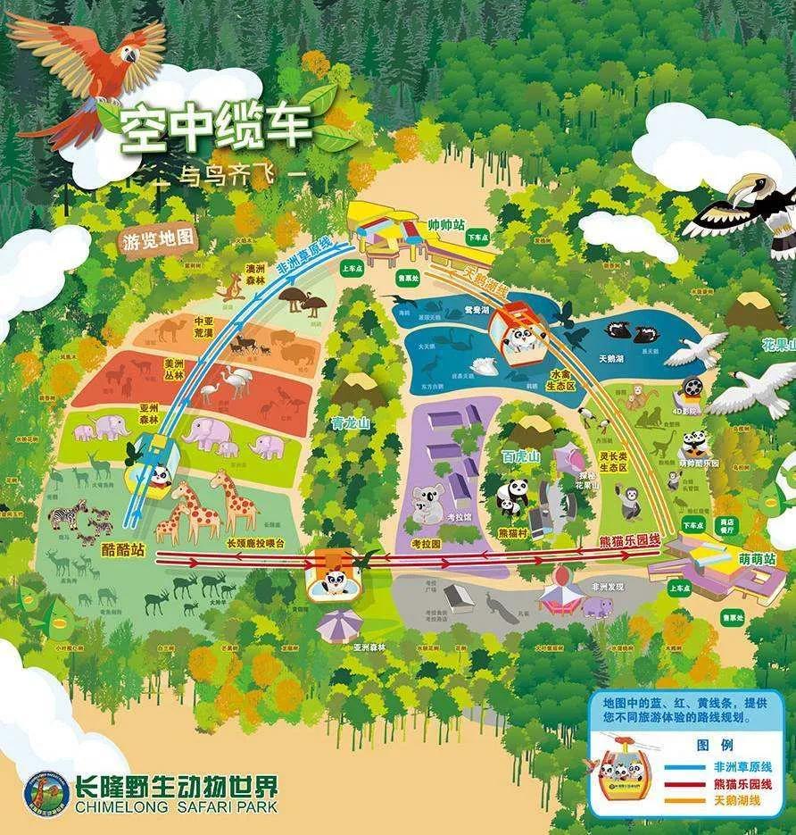 广州长隆野生动物园攻略1月,长隆野生动物世界一日游攻略