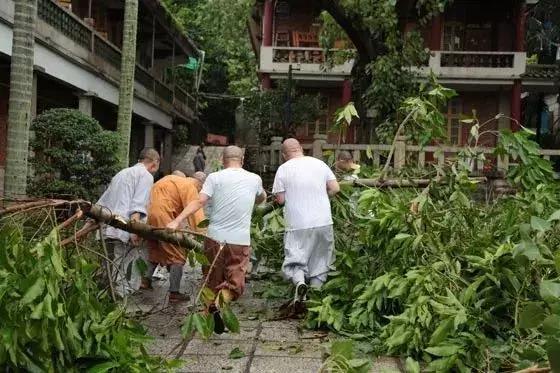 农禅并重的意义,农禅并重的寺院