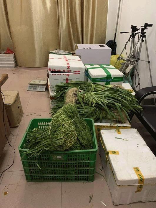 赣县惊现“真人版偷菜”,雌雄双盗凉凉落网