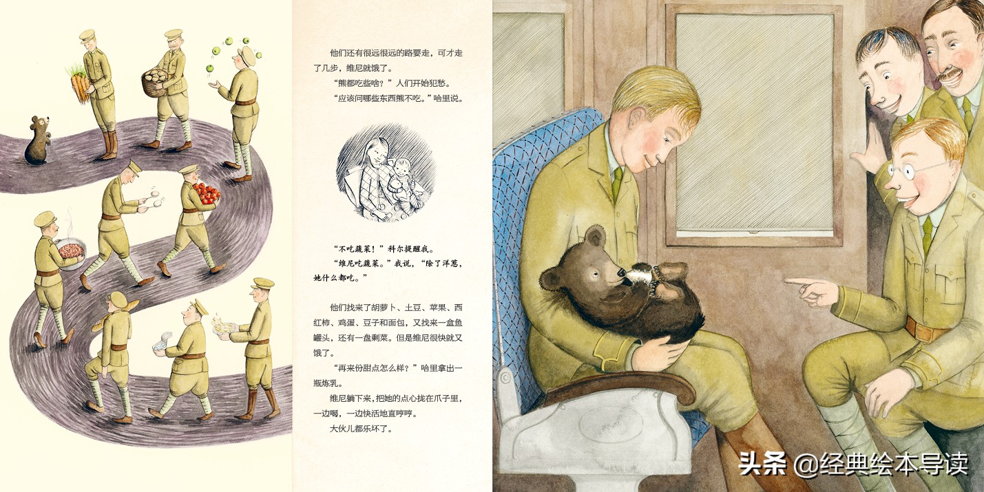 一只世界著名小熊的真实故事——《寻找维尼》导读