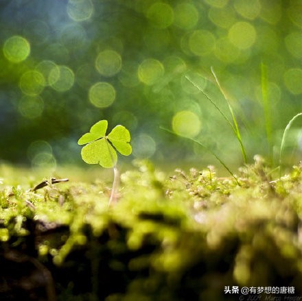 关系亲密的心理学,心理学亲近一个人的表现