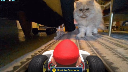 任天堂法务有多强大,任天堂最厉害的法务