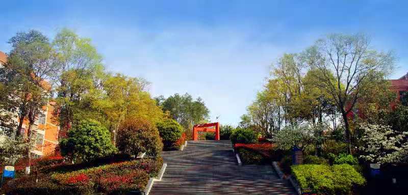 外国语里盛“国风”,这个“实验”既“好嗨”又雷人