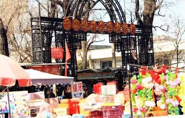 即将消失的花鸟鱼虫市场,天津消失的鱼虫市场
