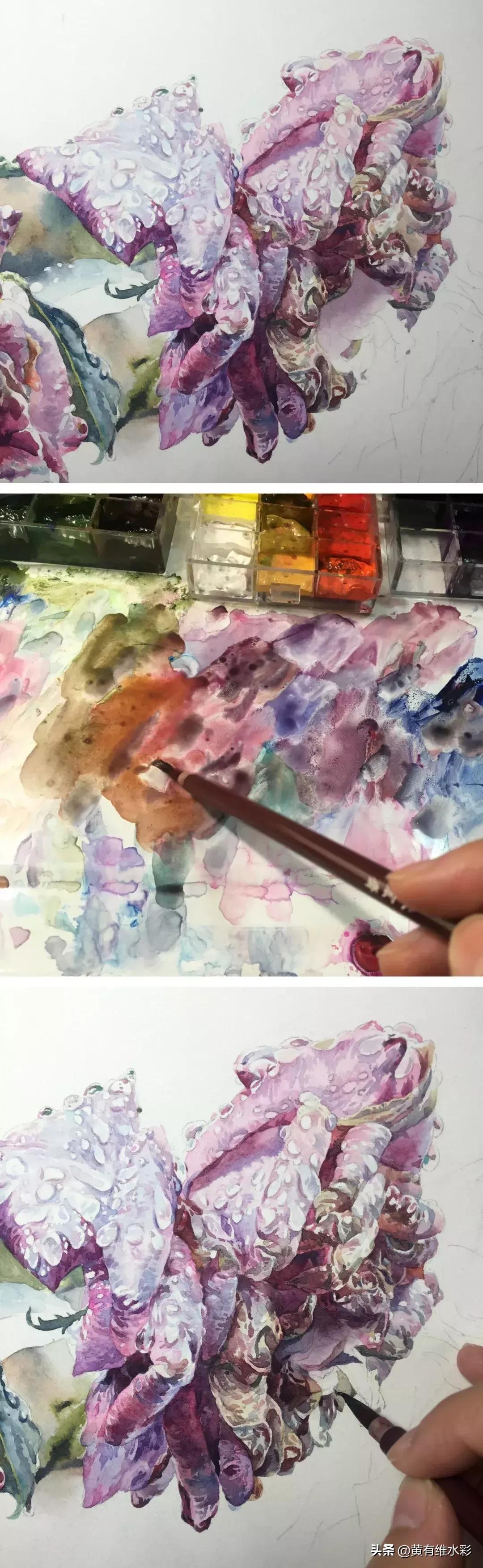 小清新水彩画玫瑰花,水彩画雨中玫瑰