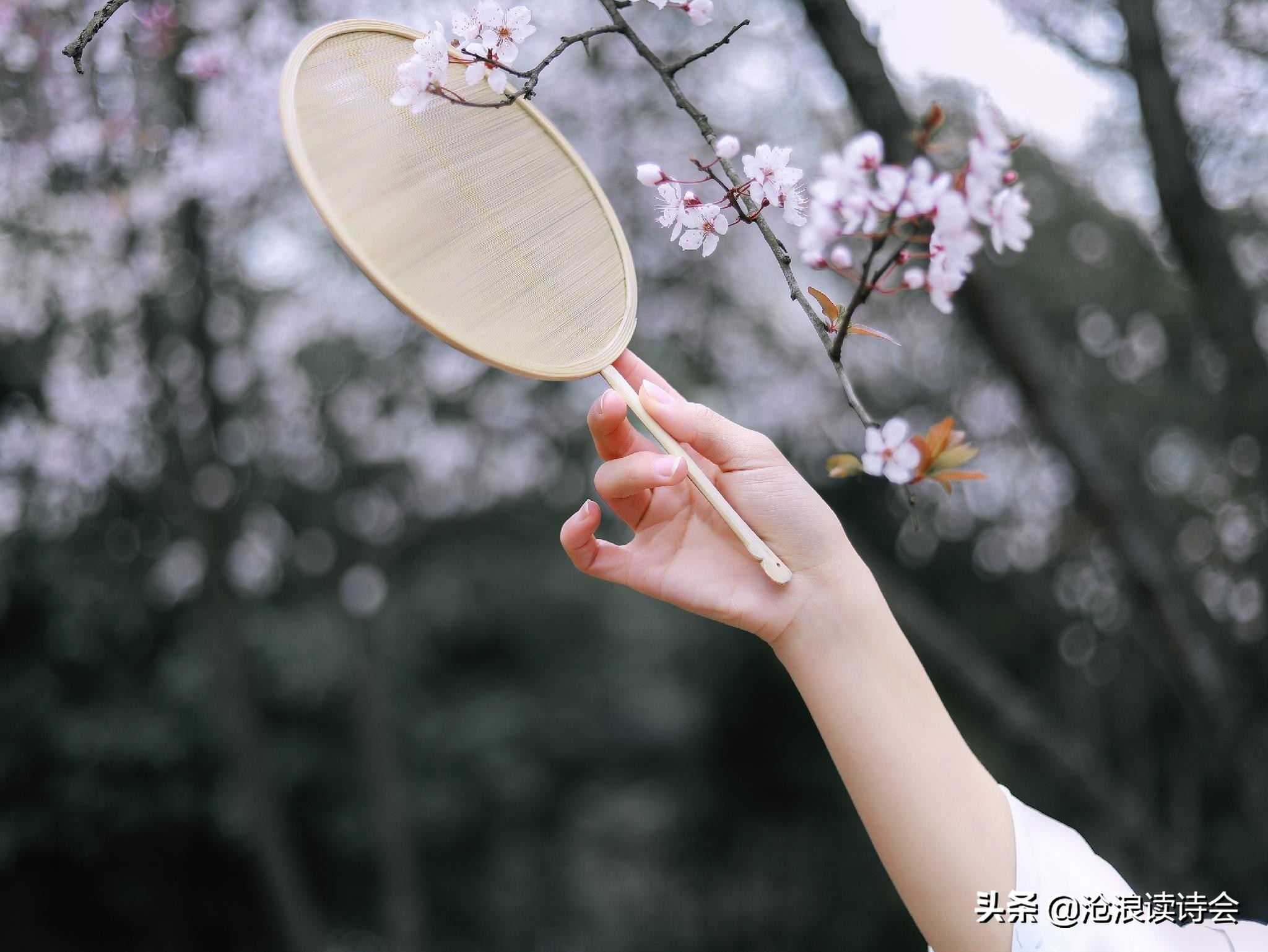 一人一首代表作，月无心妙评当代19首好诗，有趣有料，读完受益