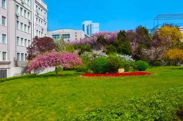 辽宁省百强高中前20名,辽宁大连排名前十的中学