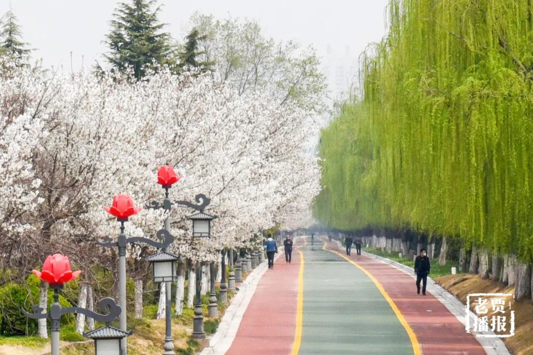 洛阳第三职专,洛阳第三季度gdp