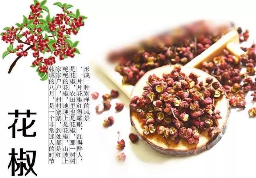 河北人你还敢说花椒产业不挣钱？瞅瞅人家是怎么闹的？