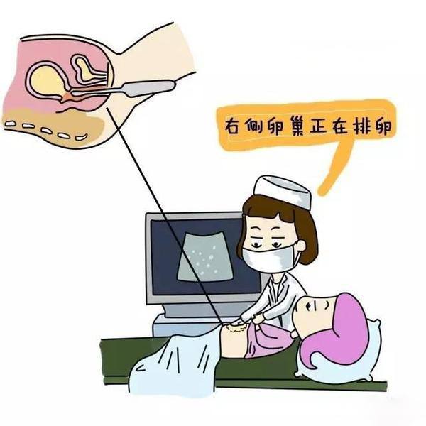 备孕检测清单详细解说视频,备孕指标详细对照表