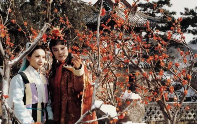 邹晓丽老师:曹雪芹的语言观(三)