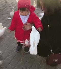 奇葩新闻大全爆笑合集,各种奇葩新闻笑死人