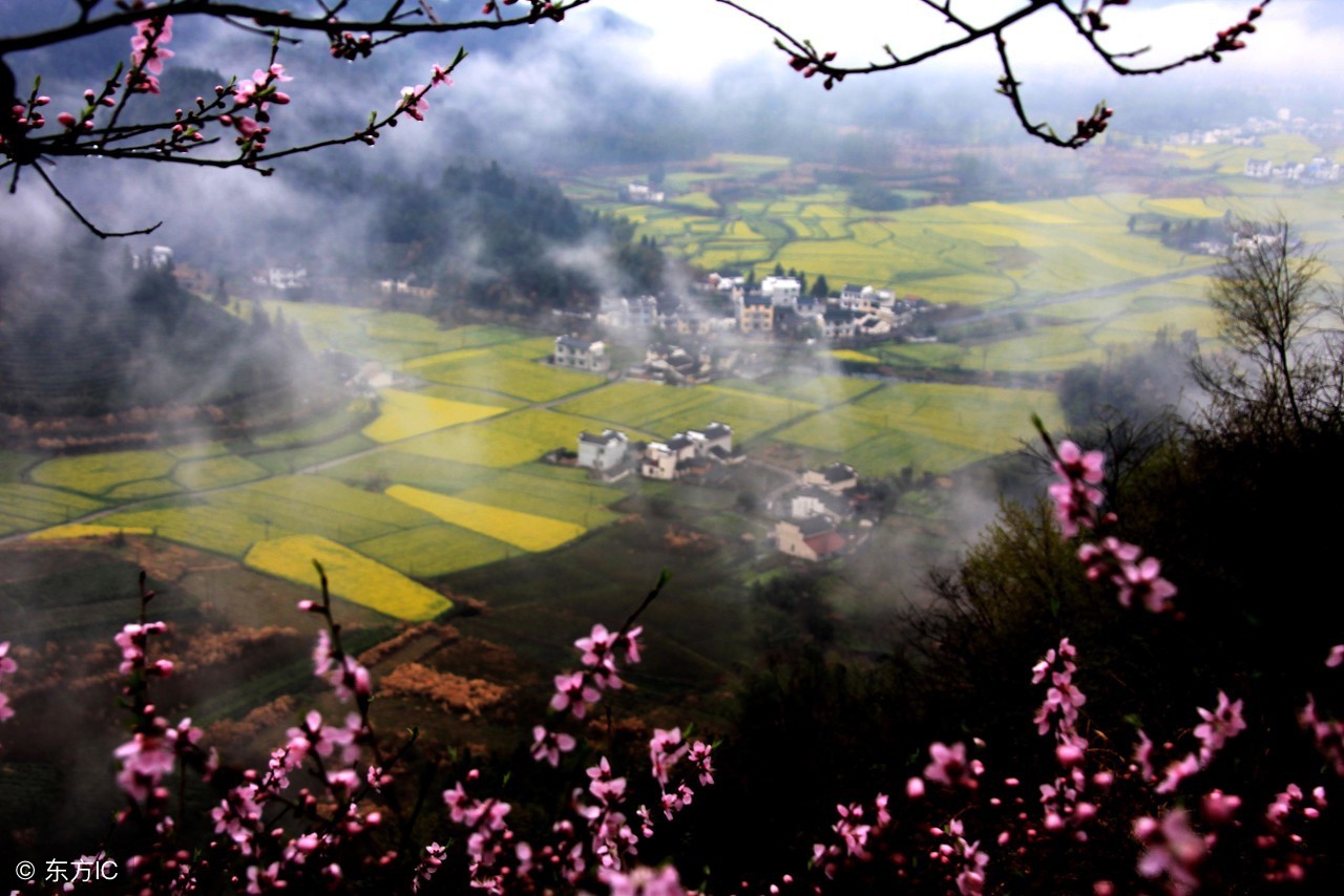 一起去游园教学设计,带你走进春天教学设计