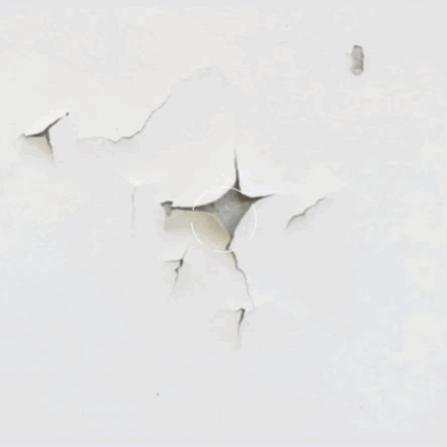 手机照片snapseed修图教程视频,快速去除杂物修图手机教程