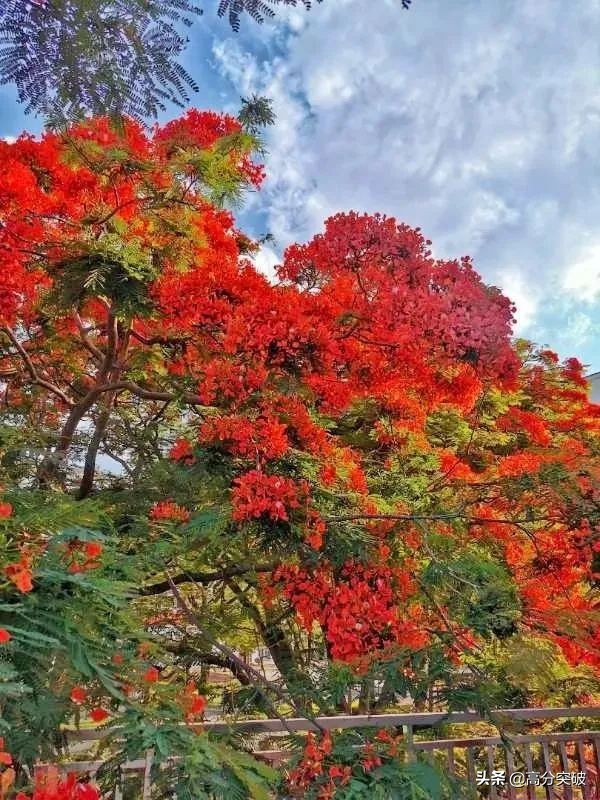 开学复课进行时,开学季告别暑假回归校园