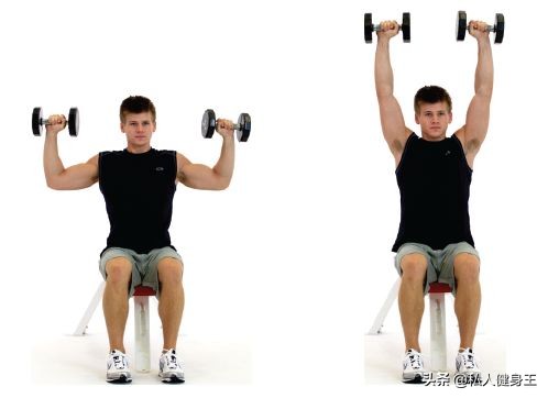 10个绝佳的哑铃动作,7天教哑铃经典8个动作女士