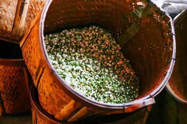 中茶的茉莉花茶叶怎么样,好茶的标准茉莉花茶