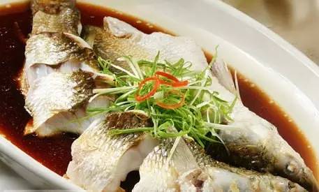 东方湿地之都因什么而得名,东方湿地魅力之都