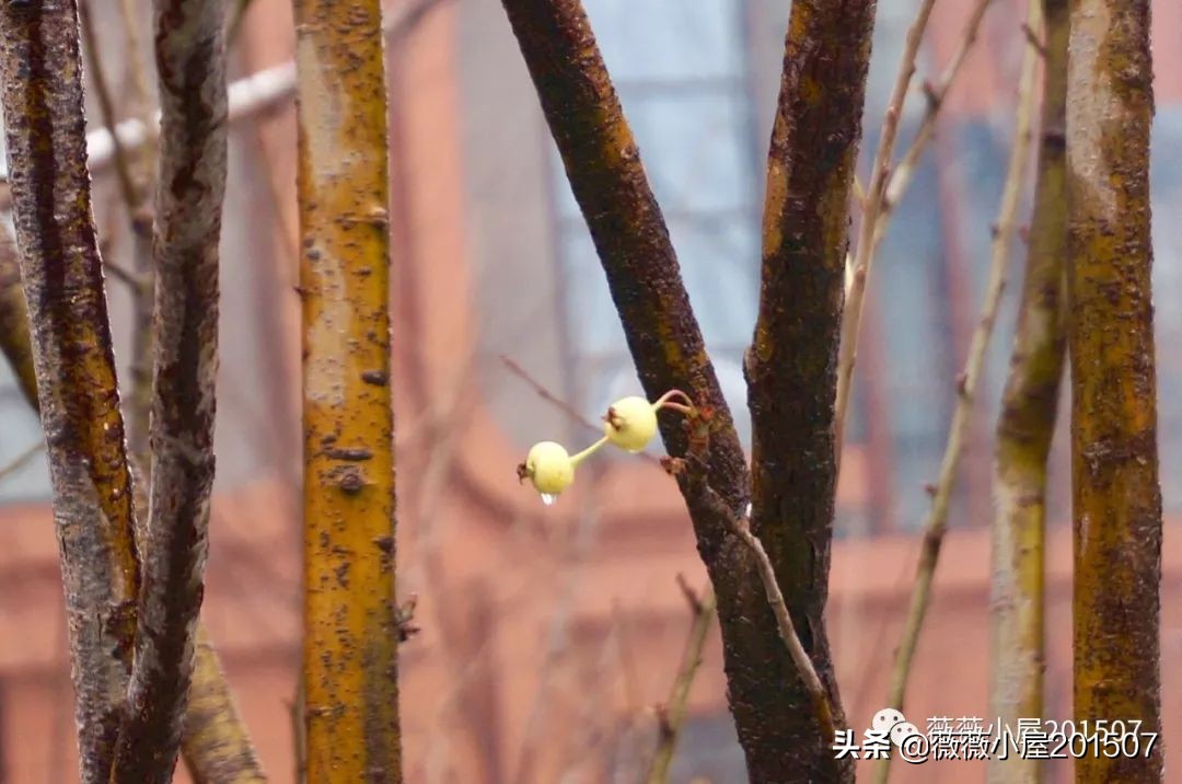 城市漫步,城市漫步郑州