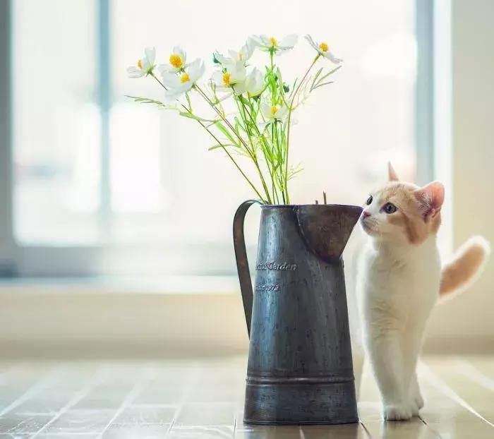 命运想让你成长,命运给她独一无二的生活