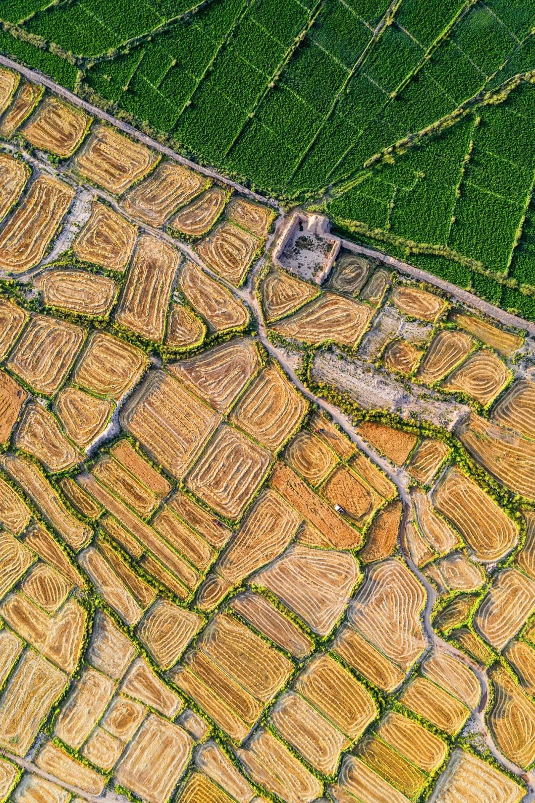 长城是如何建成的视频,长城是谁建成的