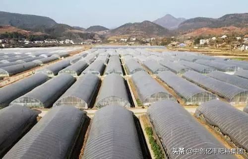 温室大棚提高温度方法图片,控温连体大棚夏天温度