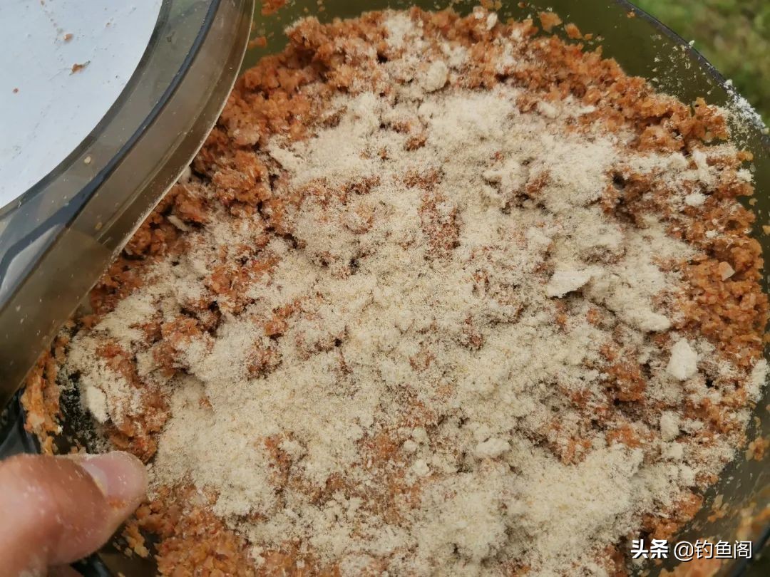 钓太阳鱼怎么选钓位视频,钓太阳鱼怎么选地方钓最好