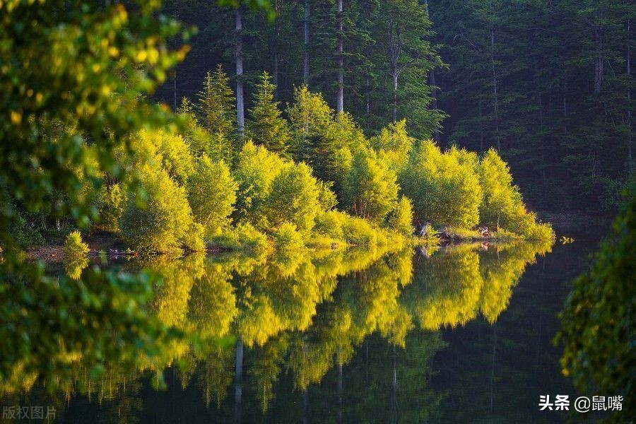 列子原文译文,列子中的寓言故事原文译文