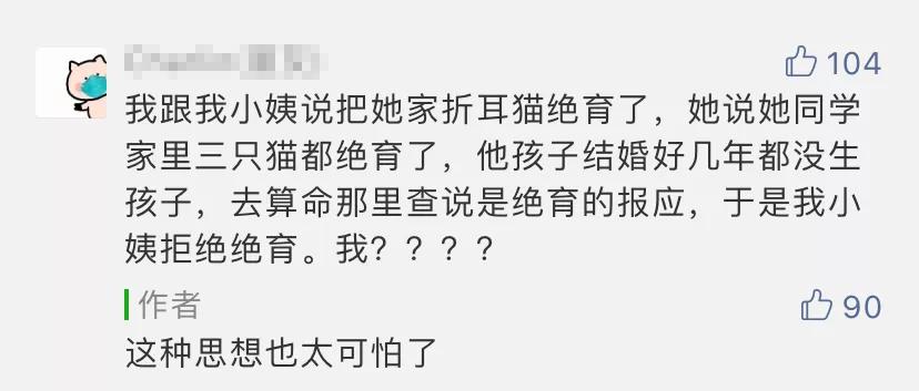 猫在啪啪啪的时候,也有快感吗?