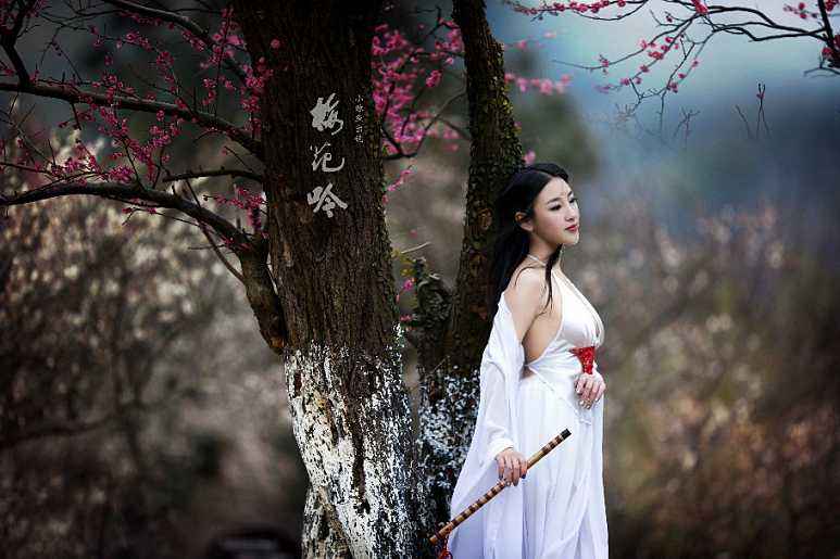 唐诗宋词是怎样描写梅花的,花中四君子描写梅花的诗句大全