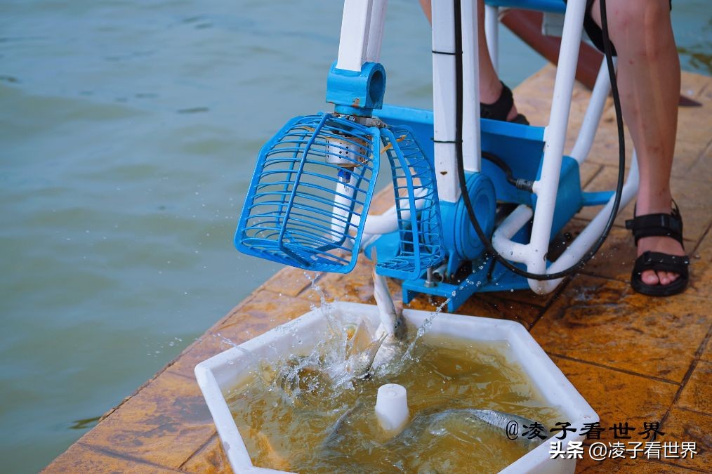 国内渔文化乐园,世界十大渔文化乐园