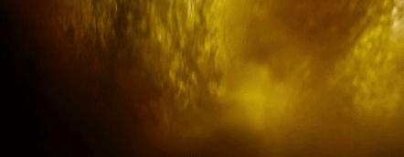 是你们说的全程高潮，但结局我想骂街