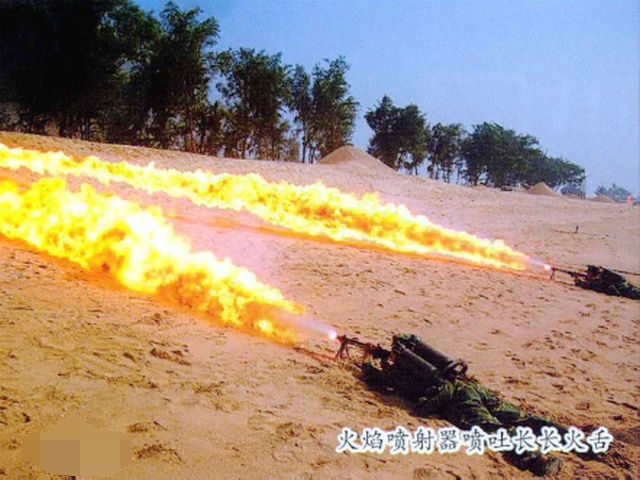 不带枪的部队,不带枪的特种兵图像