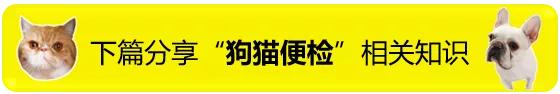 猫咪脱肛可以吃猫条吗,猫咪脱肛手术几天拆线
