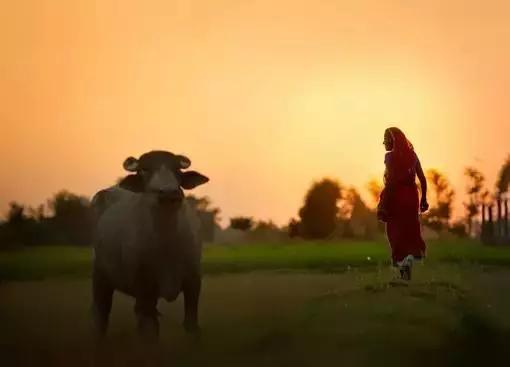 尼泊尔旅游尼泊尔农村生活攻略 (7月去尼泊尔旅游有哪些攻略方法)