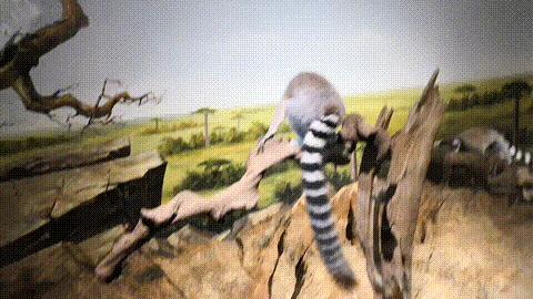 成都首条夜环线,太太太太好玩了!