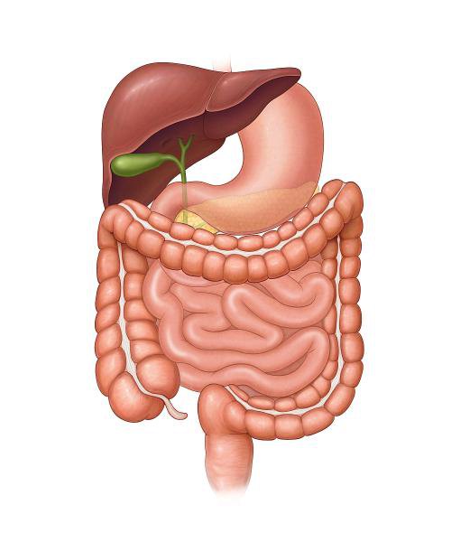 医生不会告诉你的男生的秘密,医生不会告诉你的秘密妇科