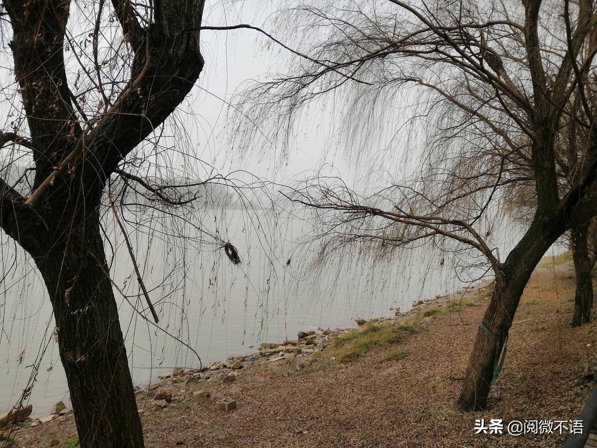 菩萨蛮冬晚遣怀,菩萨蛮冬思